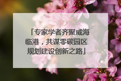 专家学者齐聚威海临港，共谋零碳园区规划建设创新之路