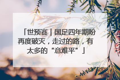 世预赛｜国足四年期盼再度破灭，走过的路，有太多的“意难平”