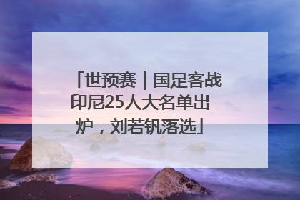 世预赛｜国足客战印尼25人大名单出炉，刘若钒落选
