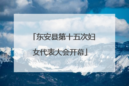 东安县第十五次妇女代表大会开幕