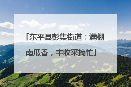 东平县彭集街道：满棚南瓜香，丰收采摘忙