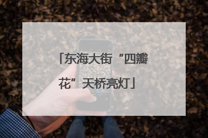 东海大街“四瓣花”天桥亮灯