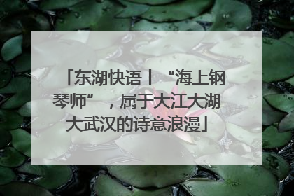 东湖快语丨“海上钢琴师”，属于大江大湖大武汉的诗意浪漫