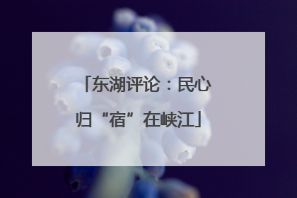 东湖评论：民心归“宿”在峡江