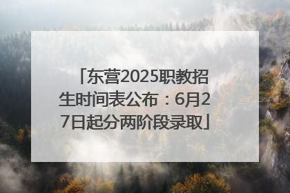 东营2025职教招生时间表公布：6月27日起分两阶段录取