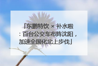 东鹏特饮 × 补水啦：百台公交车布阵沈阳，加速全国化北上步伐