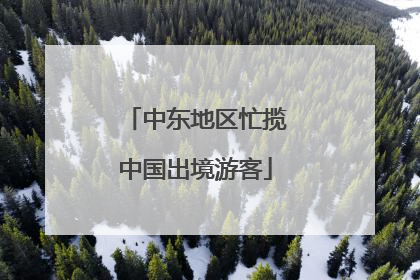 中东地区忙揽中国出境游客
