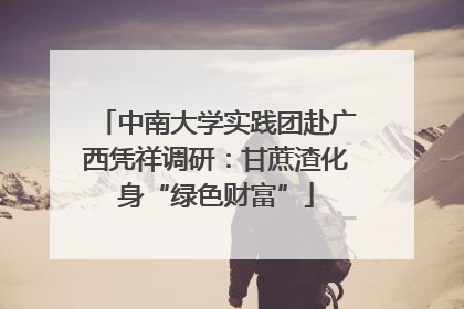 中南大学实践团赴广西凭祥调研：甘蔗渣化身“绿色财富”