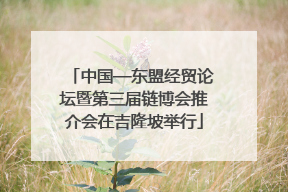 中国—东盟经贸论坛暨第三届链博会推介会在吉隆坡举行