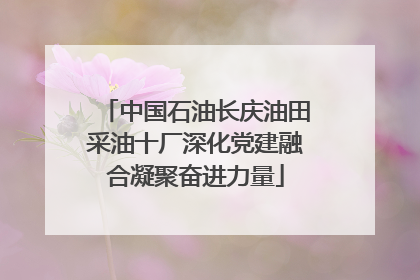 中国石油长庆油田采油十厂深化党建融合凝聚奋进力量