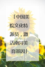 中国美院文化特派员，激活南浔美育基因