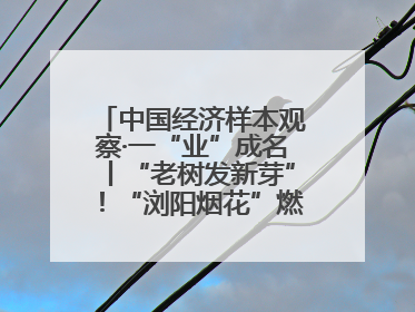 中国经济样本观察·一“业”成名丨“老树发新芽”！“浏阳烟花”燃亮世界