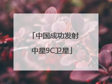 中国成功发射中星9C卫星