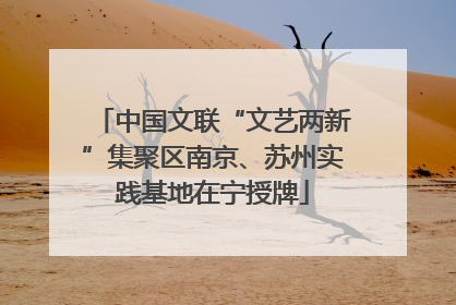 中国文联“文艺两新”集聚区南京、苏州实践基地在宁授牌