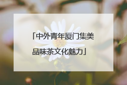 中外青年厦门集美品味茶文化魅力