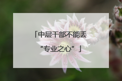 中层干部不能丢“专业之心”
