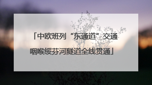 中欧班列“东通道”交通咽喉绥芬河隧道全线贯通