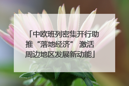 中欧班列密集开行助推“落地经济” 激活周边地区发展新动能