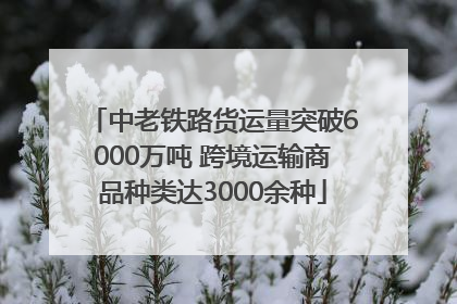 中老铁路货运量突破6000万吨 跨境运输商品种类达3000余种