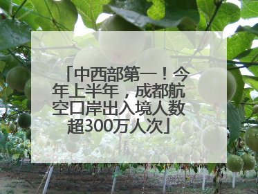 中西部第一！今年上半年，成都航空口岸出入境人数超300万人次