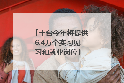 丰台今年将提供6.4万个实习见习和就业岗位