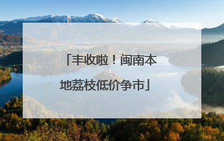 丰收啦！闽南本地荔枝低价争市