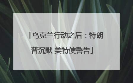 乌克兰行动之后：特朗普沉默 美特使警告