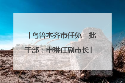 乌鲁木齐市任免一批干部：申琳任副市长