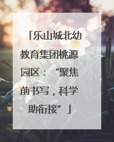 乐山城北幼教育集团桃源园区：“聚焦前书写，科学助衔接”