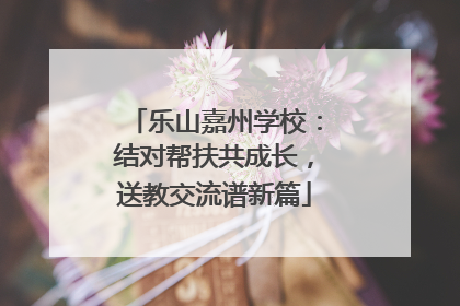 乐山嘉州学校：结对帮扶共成长，送教交流谱新篇