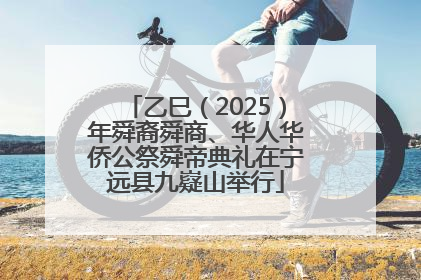 乙巳（2025）年舜裔舜商、华人华侨公祭舜帝典礼在宁远县九嶷山举行