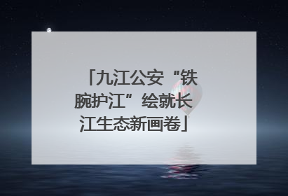 九江公安“铁腕护江”绘就长江生态新画卷