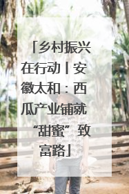 乡村振兴在行动丨安徽太和：西瓜产业铺就“甜蜜”致富路