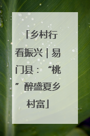 乡村行 看振兴｜易门县：“桃”醉盛夏乡村富