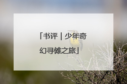 书评｜少年奇幻寻傩之旅