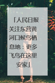 人民日报关注东营黄河口候鸟栖息地：更多飞鸟在这里安家