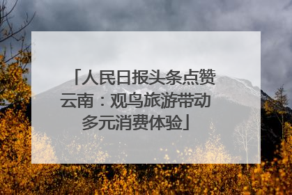 人民日报头条点赞云南：观鸟旅游带动多元消费体验