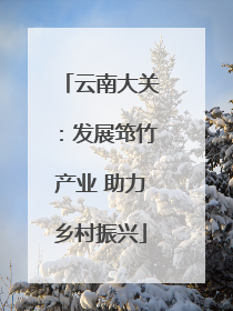 云南大关：发展筇竹产业 助力乡村振兴