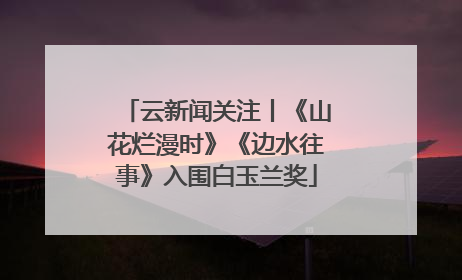 云新闻关注丨《山花烂漫时》《边水往事》入围白玉兰奖