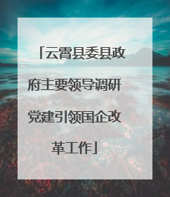 云霄县委县政府主要领导调研党建引领国企改革工作