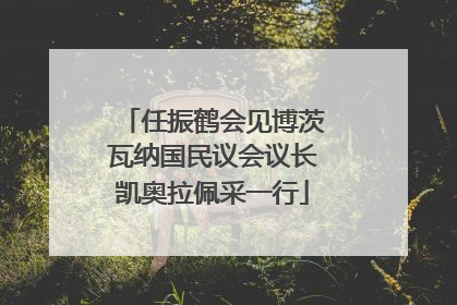 任振鹤会见博茨瓦纳国民议会议长凯奥拉佩采一行