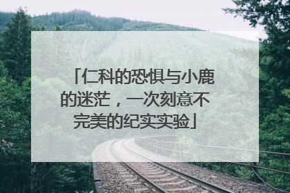仁科的恐惧与小鹿的迷茫，一次刻意不完美的纪实实验