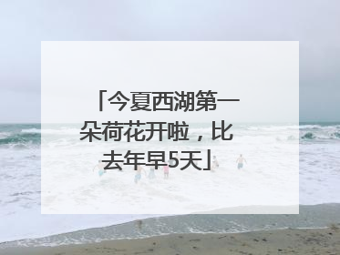 今夏西湖第一朵荷花开啦，比去年早5天