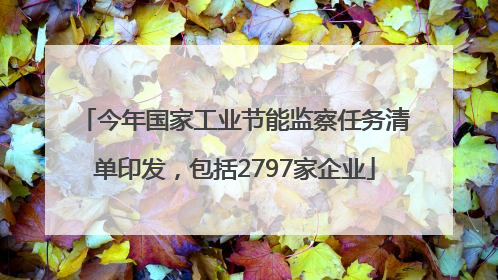 今年国家工业节能监察任务清单印发，包括2797家企业