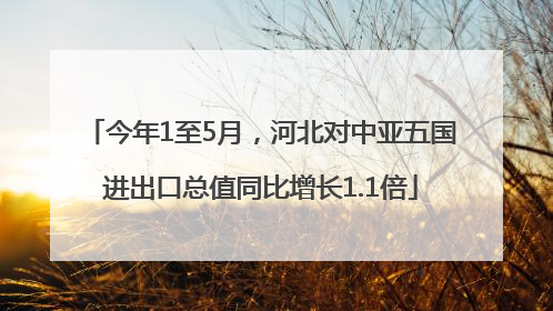 今年1至5月，河北对中亚五国进出口总值同比增长1.1倍