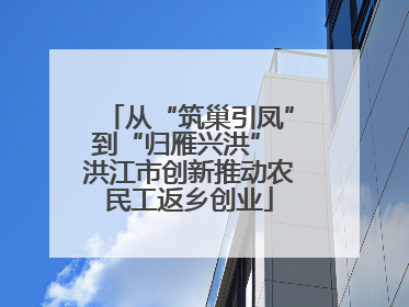 从“筑巢引凤”到“归雁兴洪” 洪江市创新推动农民工返乡创业
