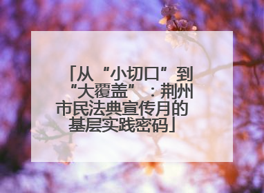 从“小切口”到“大覆盖”：荆州市民法典宣传月的基层实践密码