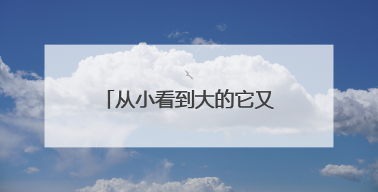从小看到大的它又来了！北京今年“吊死鬼”会更多吗？