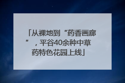 从裸地到“药香画廊”，平谷40余种中草药特色花园上线