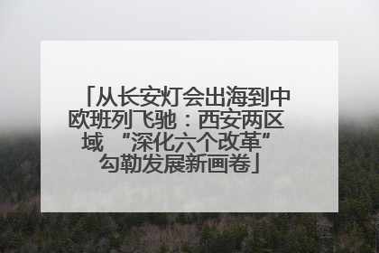 从长安灯会出海到中欧班列飞驰：西安两区域 “深化六个改革” 勾勒发展新画卷